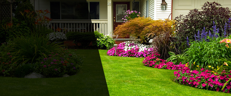 Fairfield Landscapers